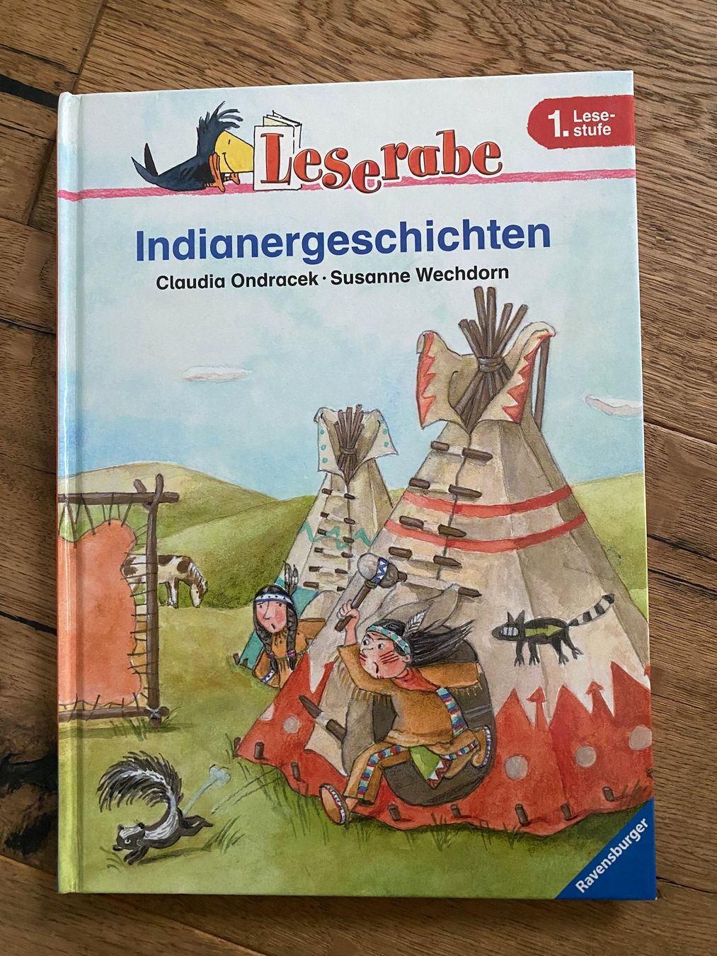 Libri: Leserabe: "Indianergeschichten" 1. Lesestufe – Usato da Steinerberg venduto da luckyfin