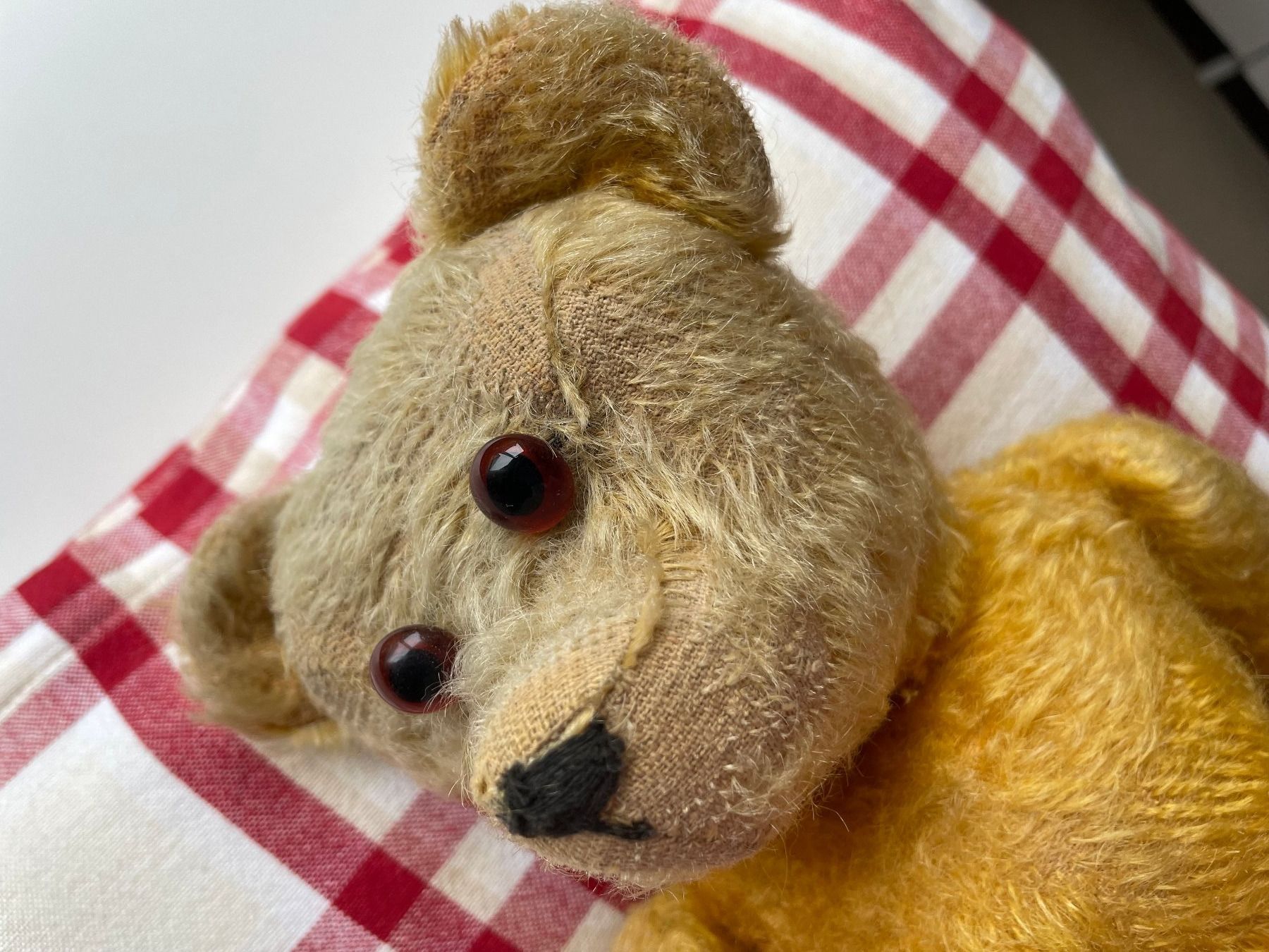Giocattoli: Teddybär aus Urgrossmutters Zeit – Usato da Hausen am Albis venduto da Werk3