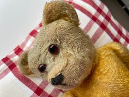 Teddybär aus Urgrossmutters Zeit