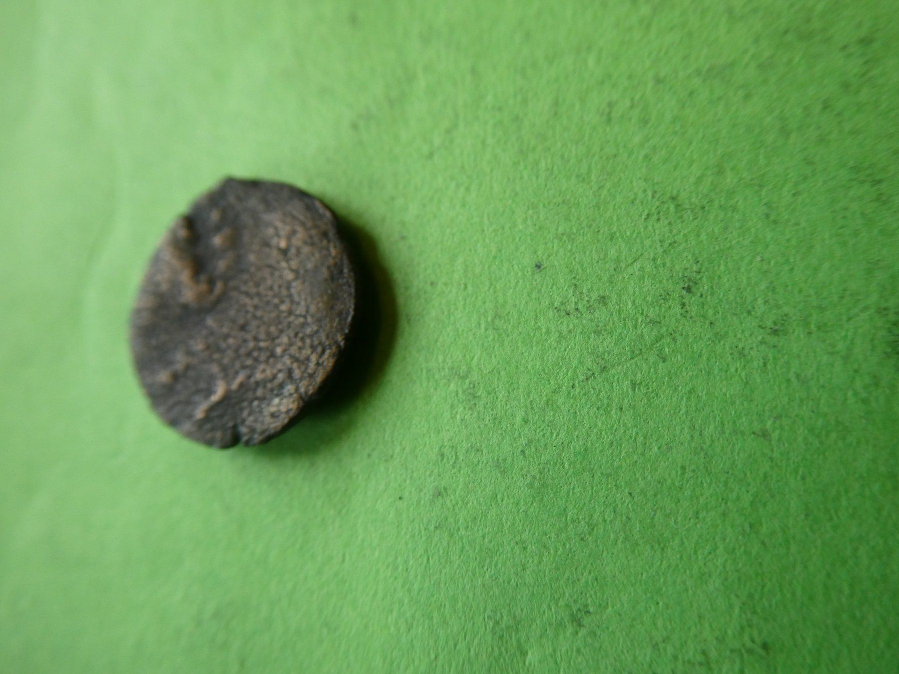Tutti le monete: uralte Bronzemünze 13 mm     1.20 g – Usato da Hinterforst venduto da Rohusri 3