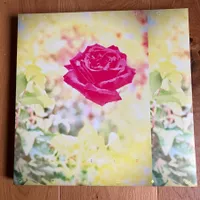 Lambchop – Trip