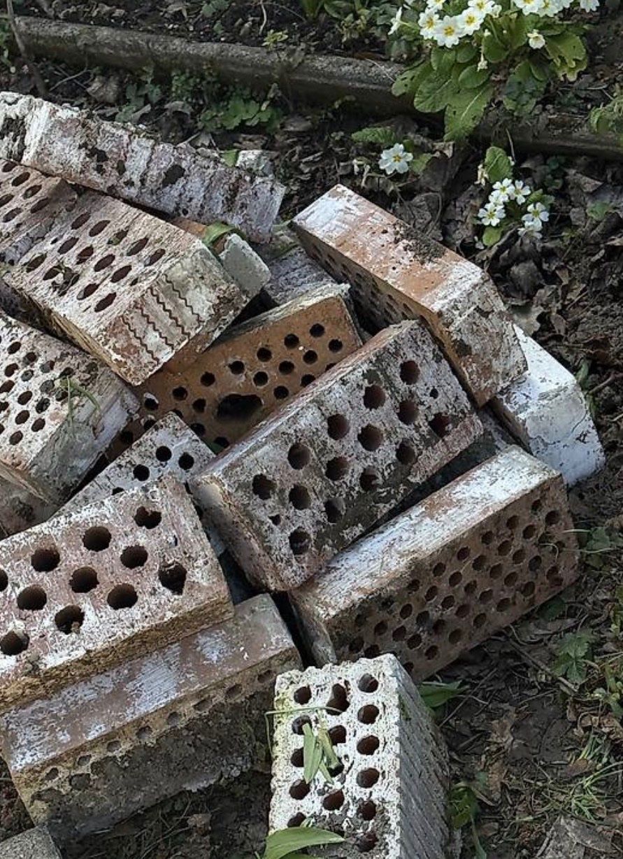 Pietre & tegole: Backstein/ bricks ( pro Stück Preis ) – Usato da Bern venduto da mystyle_bern 1