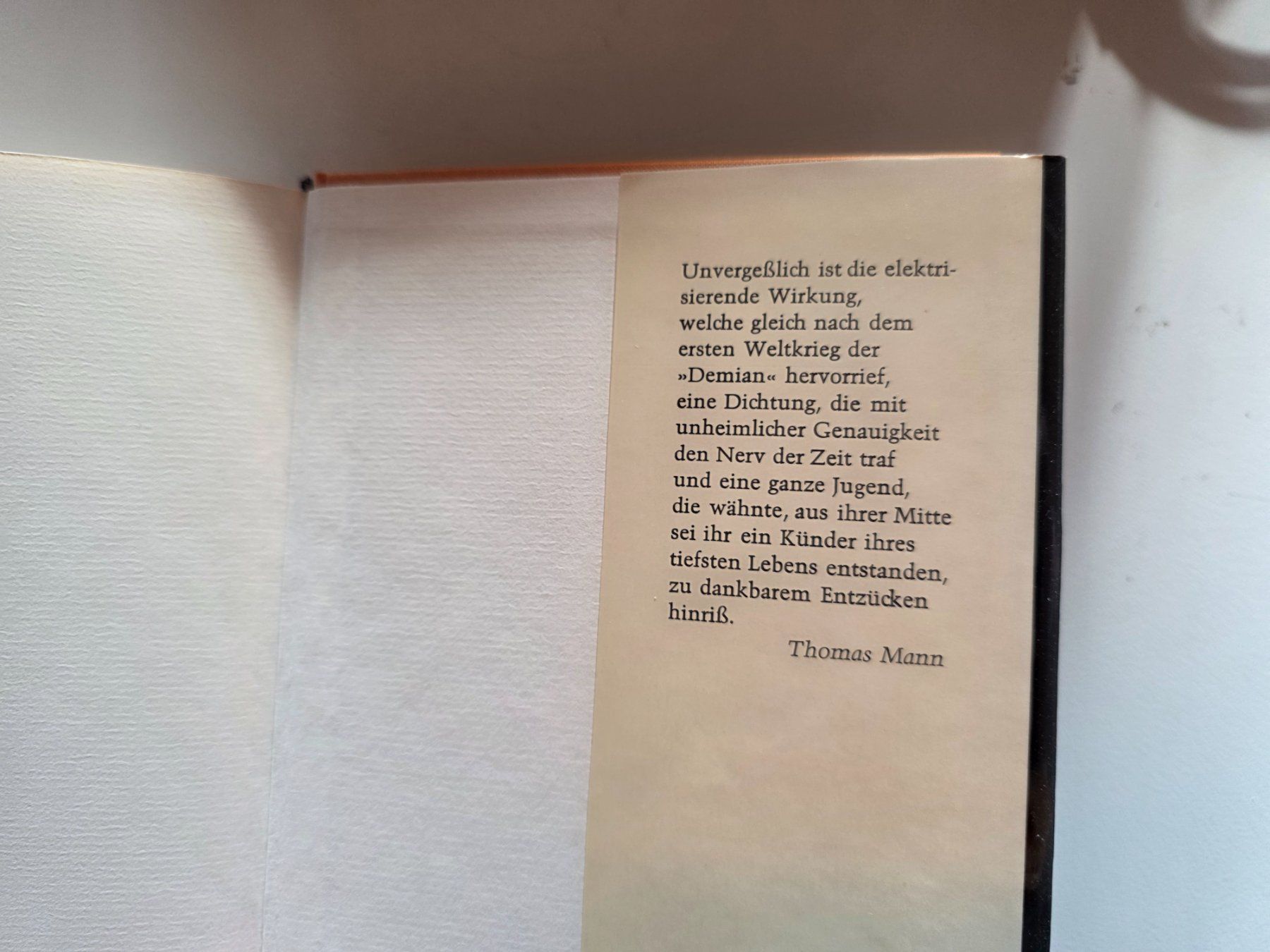 Libri: Hermann Hesse Demina - suhrkamp Buch – Usato da Walterswil BE venduto da Lonitti 3