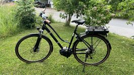 IBEX E-Bike für Damen, Bosch Performance, nur ca. 300km!!!