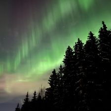 Profile image of _Nordliechtli_