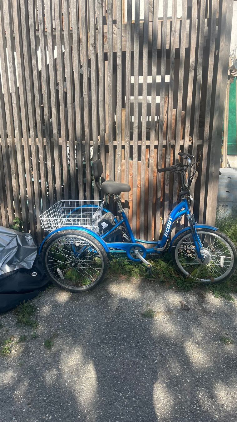 Biciclette: Tricycle électrique – Nuovo e nell'imballaggio originale da Grandson venduto da Mi_chELe18
