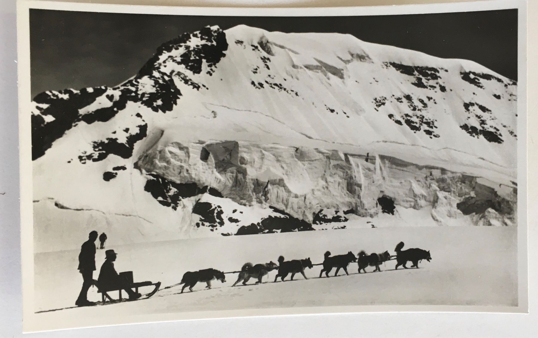 Cartoline postali: Jungfraujoch, Polarhunde – Usato da Frauenfeld venduto da Merk52