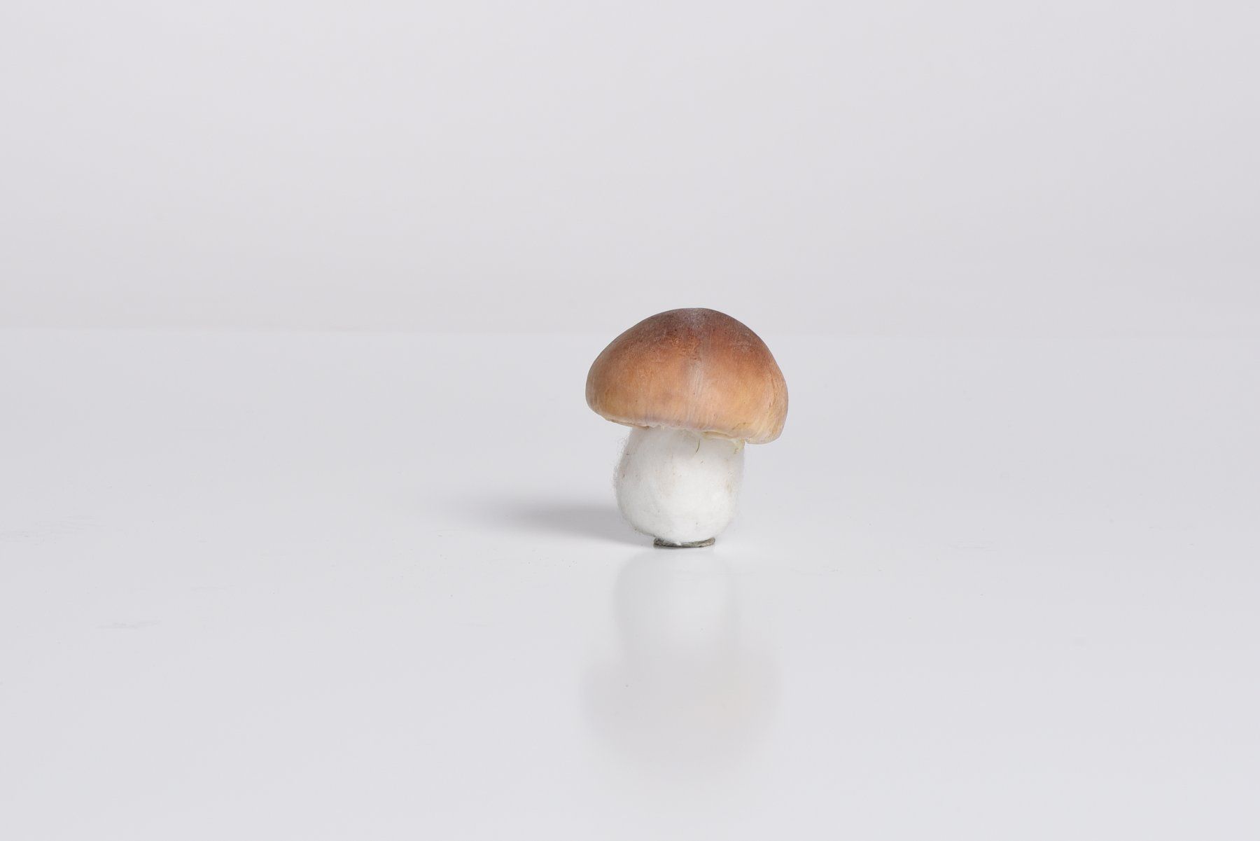 Tutte le decorazioni: Pilze Steinpilz Deko – Usato da Uznach venduto da EH249 1