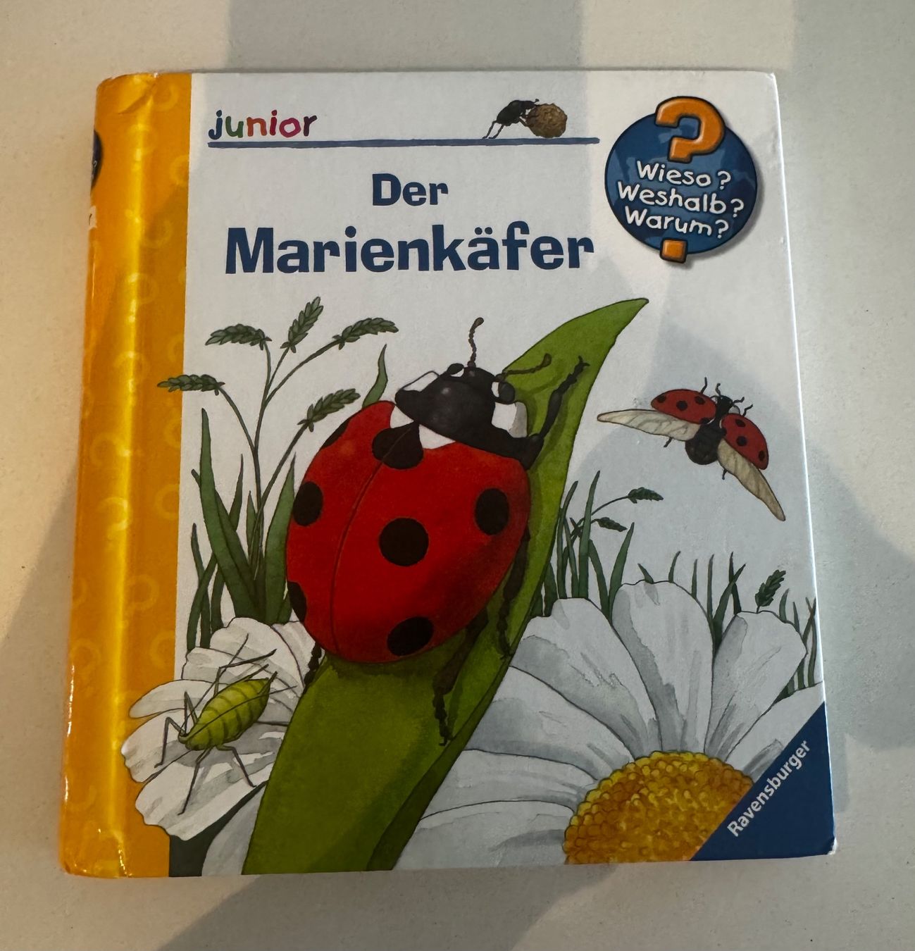 Libri: Wieso weshalb  warum - Der Marienkäfer – Usato da Zürich venduto da robyy