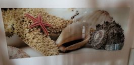 Glasbild 125 x 50cm