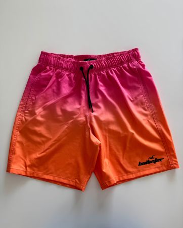 Badehose Hollister