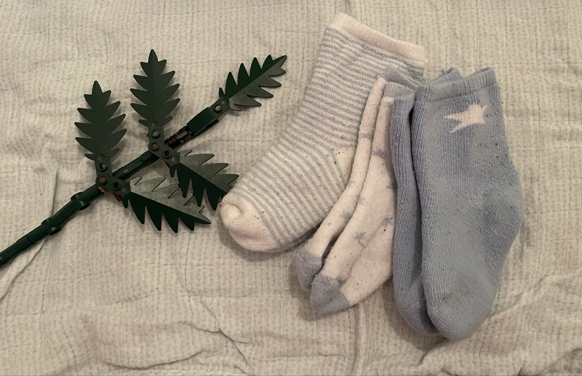 Calze per bambini: Cute Baby Socks Bundle - Size 0-6 Months – Usato da Zollikerberg venduto da BS.SM