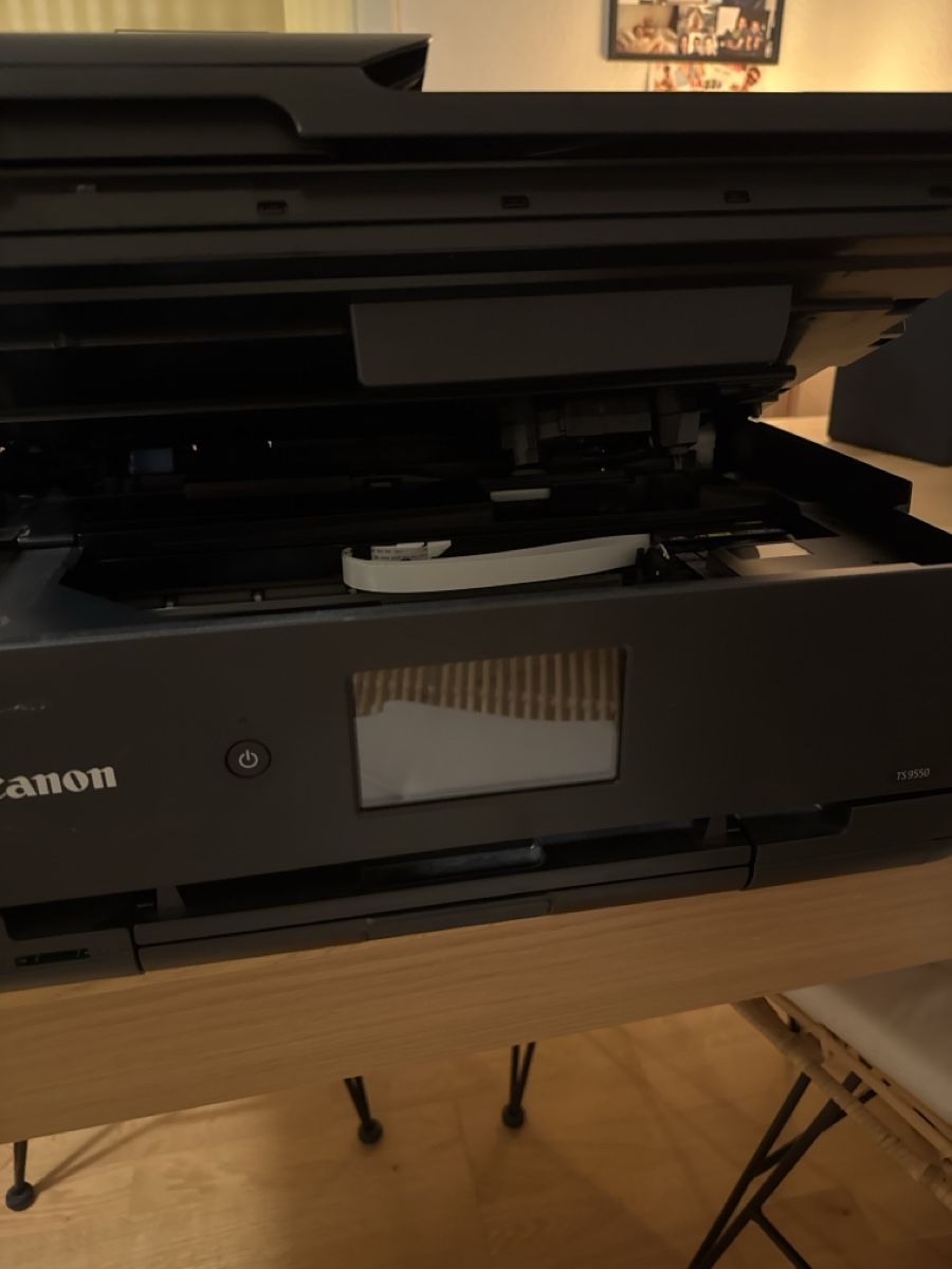 Canon Stampanti: Canon Pixma TS9550  Multifunktionsdrucker – Usato da Zürich venduto da GREG27 3
