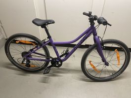 Kinder Velo Naloo Chameleon 24 Zoll 