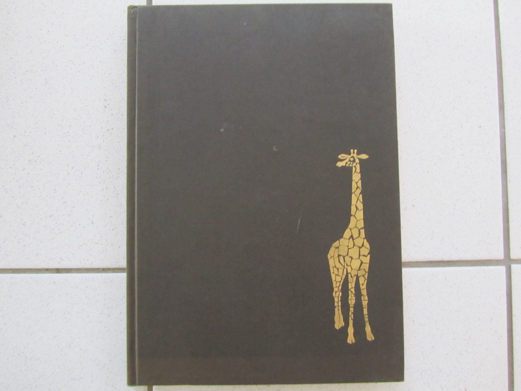 Libri: Afrika, Wüste Steppe Urwald - Silva Buch von 1963 – Usato da Weiningen ZH venduto da dietsch57 1