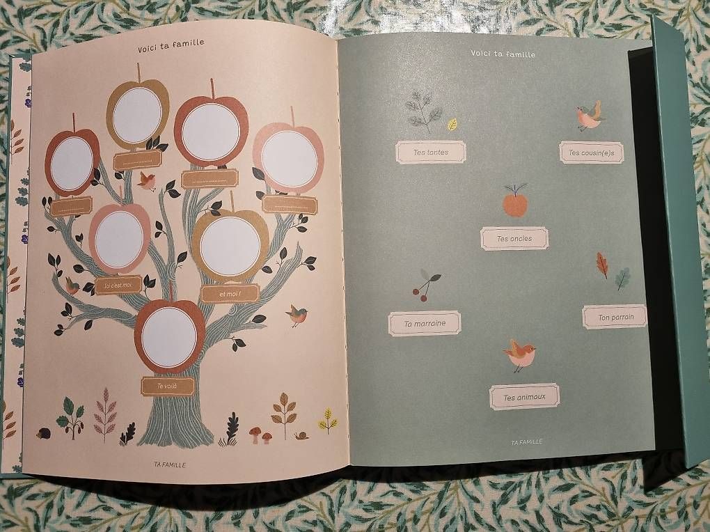 Libri: Livre de Naissance – Usato da Meikirch venduto da amsel016 2
