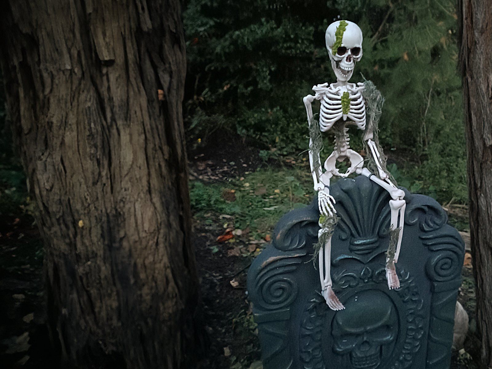 Statuette: EUROPALMS Halloween Skelett mit Moos, 40cm – Nuovo e nell'imballaggio originale da Däniken SO venduto da Profog1