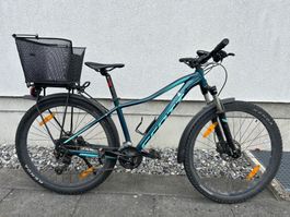 Gepflegtes Scott Contessa