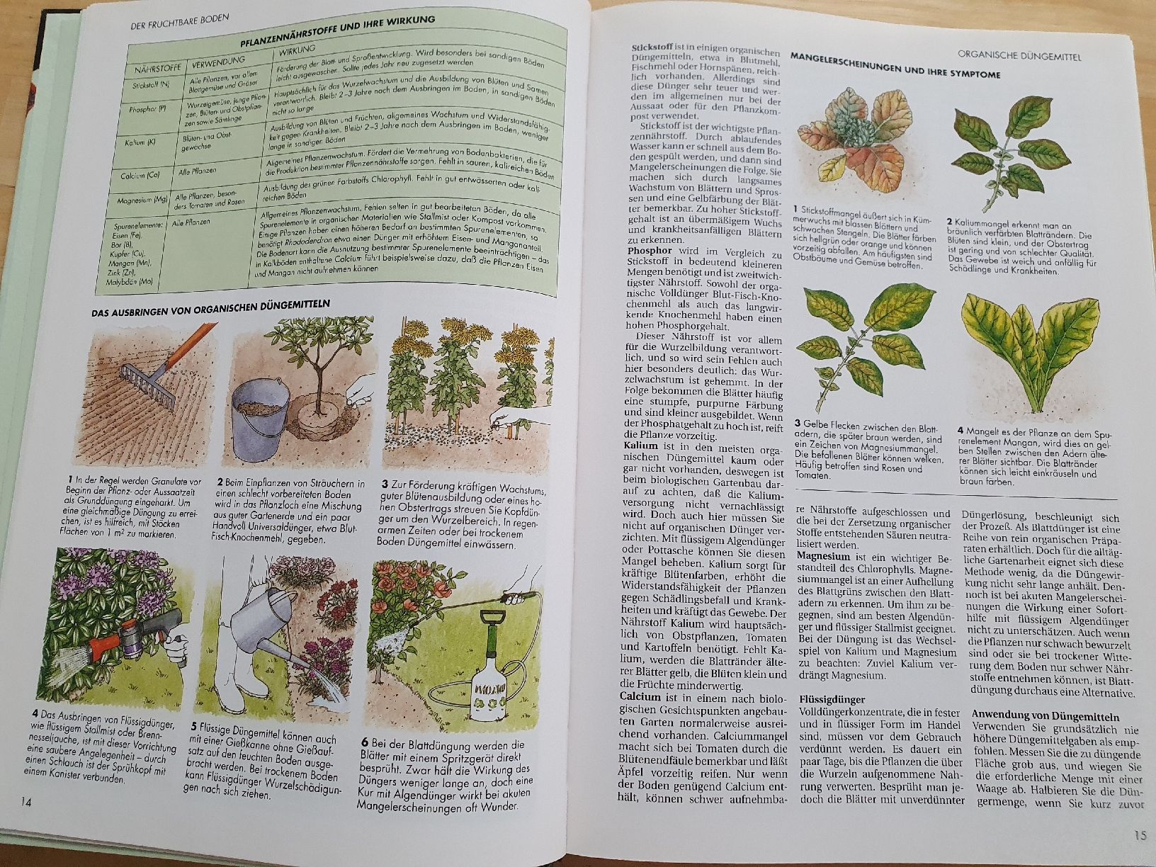 Libri: Gartenarbeit leichtgemacht – Usato da Niedergösgen venduto da Sabina6355 1