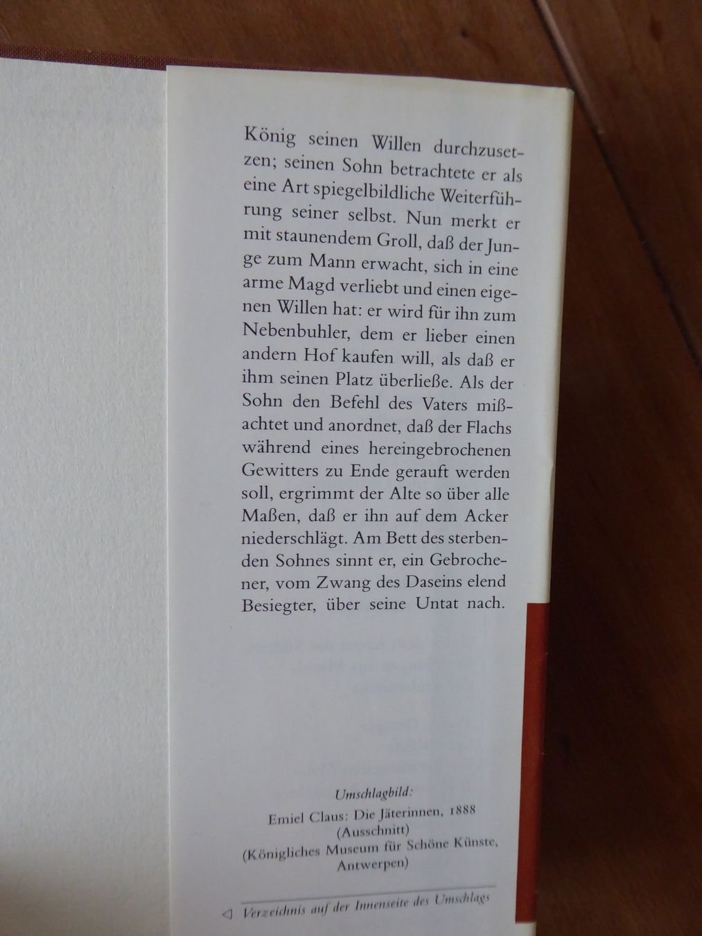 Libri: Manesse Bàndchen: Stijn Streuvels "Der Flachsacker" – Usato da Eschenz venduto da sommerwind2012 3