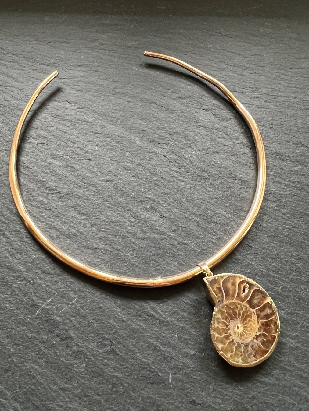 Catenine: Ammonite Fossil Pendant Necklace – Nuovo e nell'imballaggio originale da Rüschlikon venduto da ThereseJewelryDesign 4
