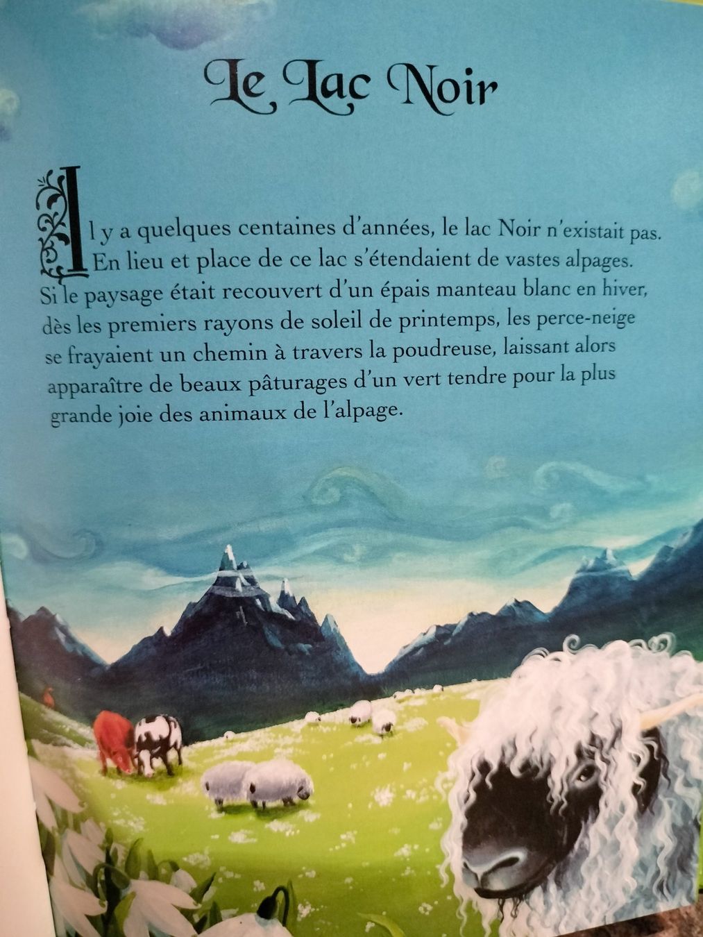 Libri: Mes p'tits contes du canton de Fribourg – Usato da Cortaillod venduto da rozinna 3