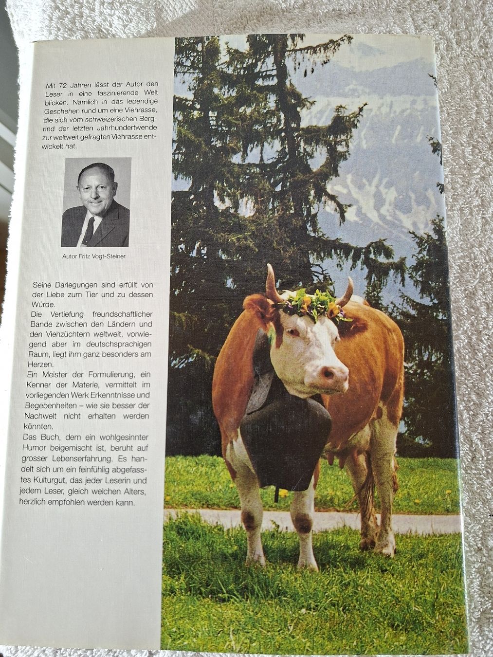 Cloches & sonnailles: Das Simmentaler Fleckvieh – D'occasion à Grindelwald par carro5 7