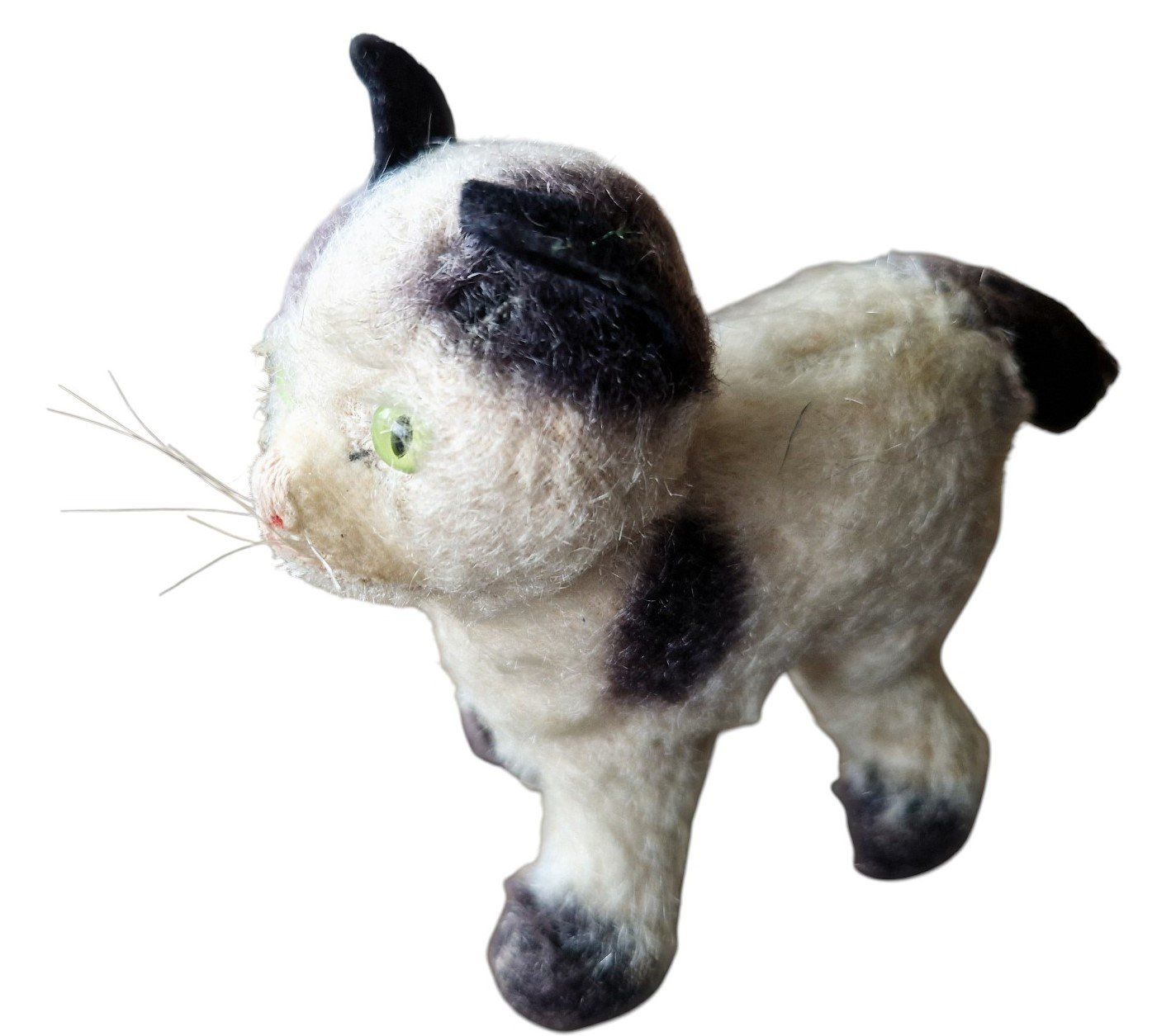 Steiff Giocattoli: Steiff Plüschtier Katze 1950er – Usato da Mörschwil venduto da lindaswunderkiste 1