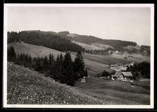 Ansichtskarten: Wolfhalden /Appenzell, Ferienheim Schön – Gebraucht aus Berlin von bartko-reher