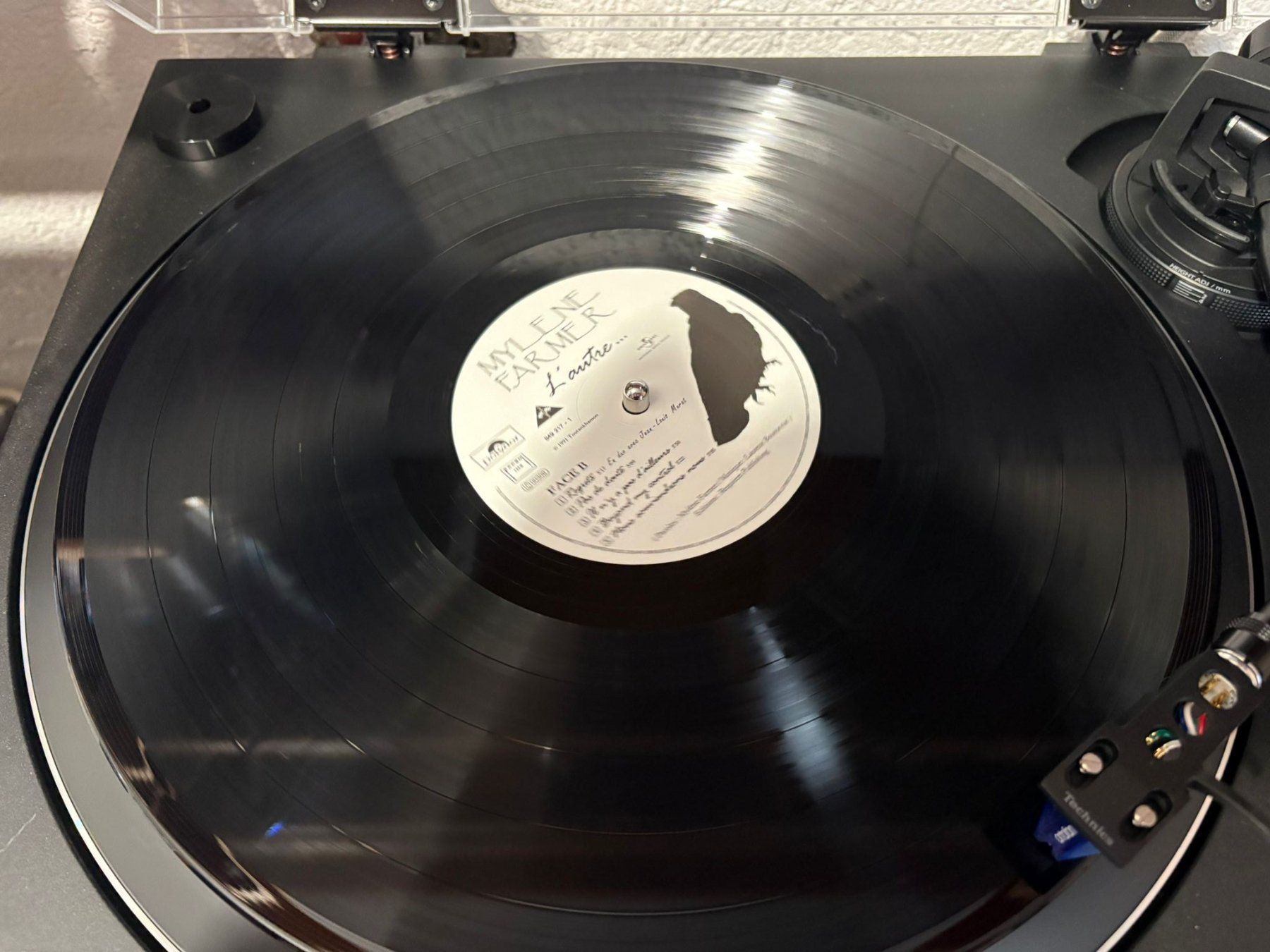 Dischi in vinile: Mylène Farmer Anamorphosée  couleur Rouge/L'autre – Usato da Mörel venduto da Manolocana 7