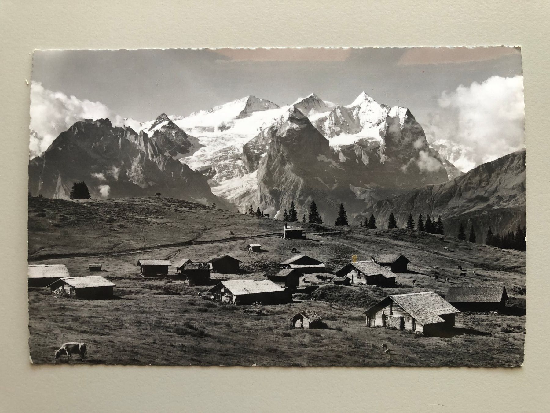 Cartes postales: AK Balisalp – D'occasion à Schötz par Odpa