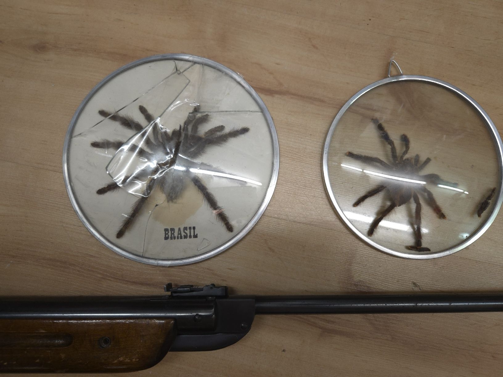 Tiro con l'arco: Exotische Sammlung: Speer, Bogen, Pfeil, Luftgewehr, Pfeife. – Usato da Oberglatt ZH venduto da albarpitsch 2