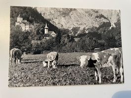 Alte Ansichtskarte Wimmis BE, seltene Fotos, Top Zustand