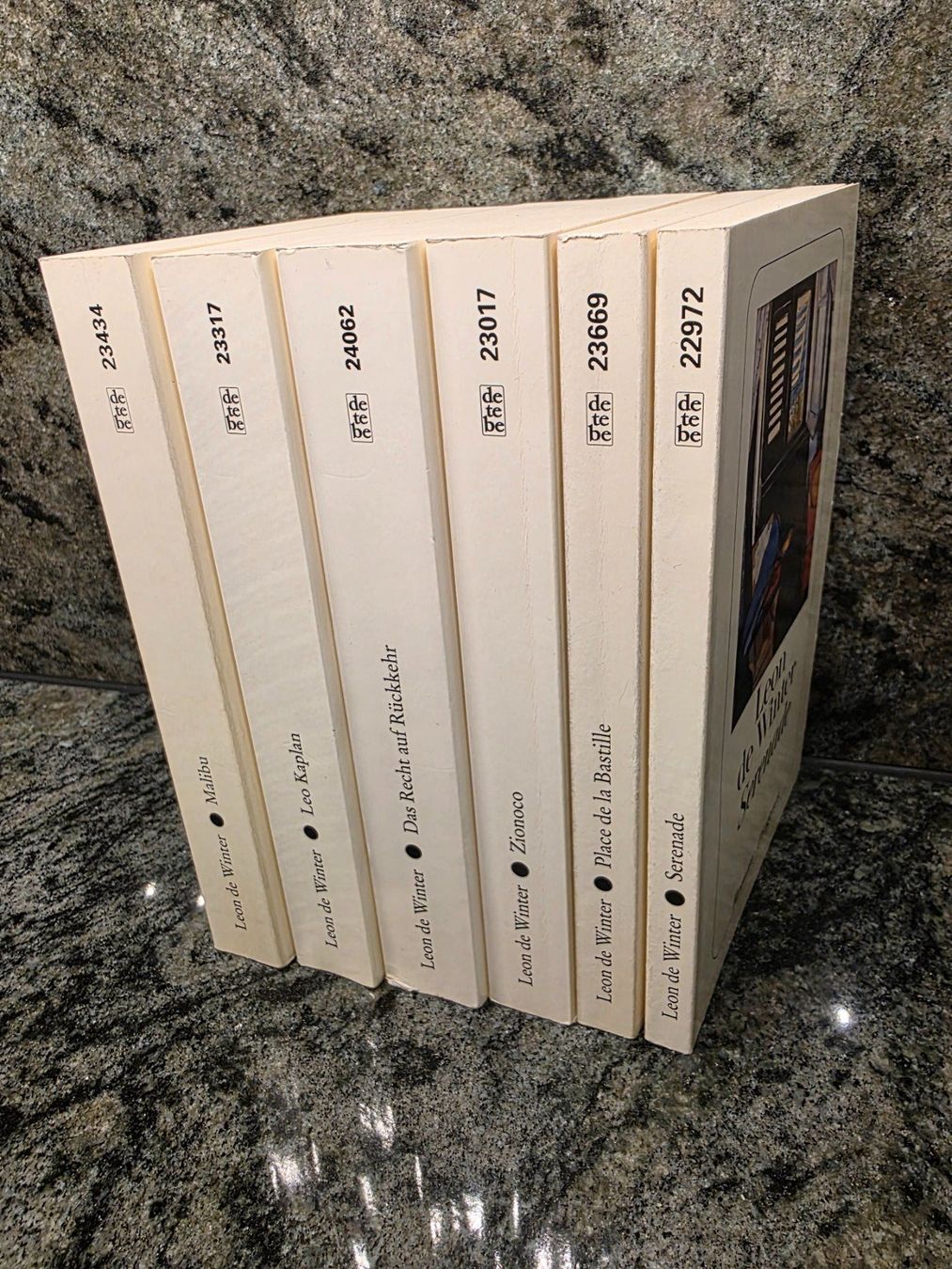 Bücher: Leon de Winter, 6 Romane, Diogenes, Top Zustand! – Gebraucht aus Herisau von Dinge-in-Bewegung
