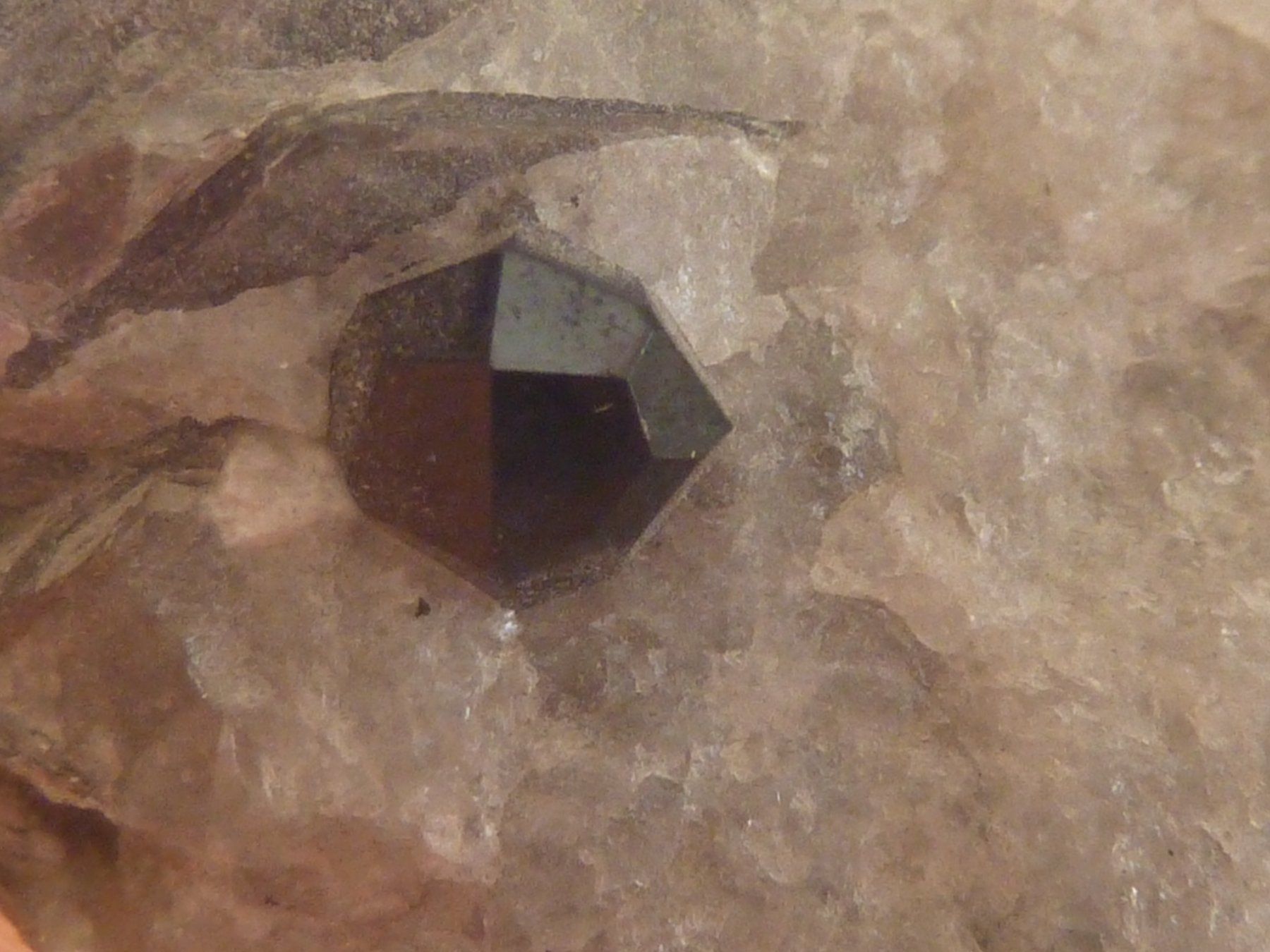 Minerali & Pietre curative: Schöner Granat mit Muskovit, Binntal – Usato da Triengen venduto da Nussbaum14 2