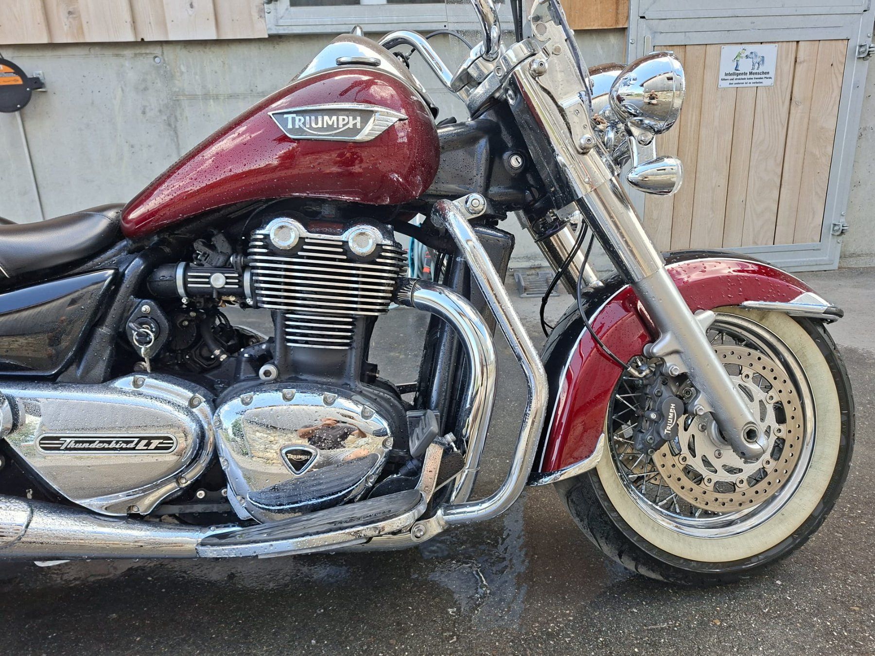 Triumph Chopper: TRIUMPH Thunderbird LT ABS – Gebraucht aus Plaffeien von ar01l842 2