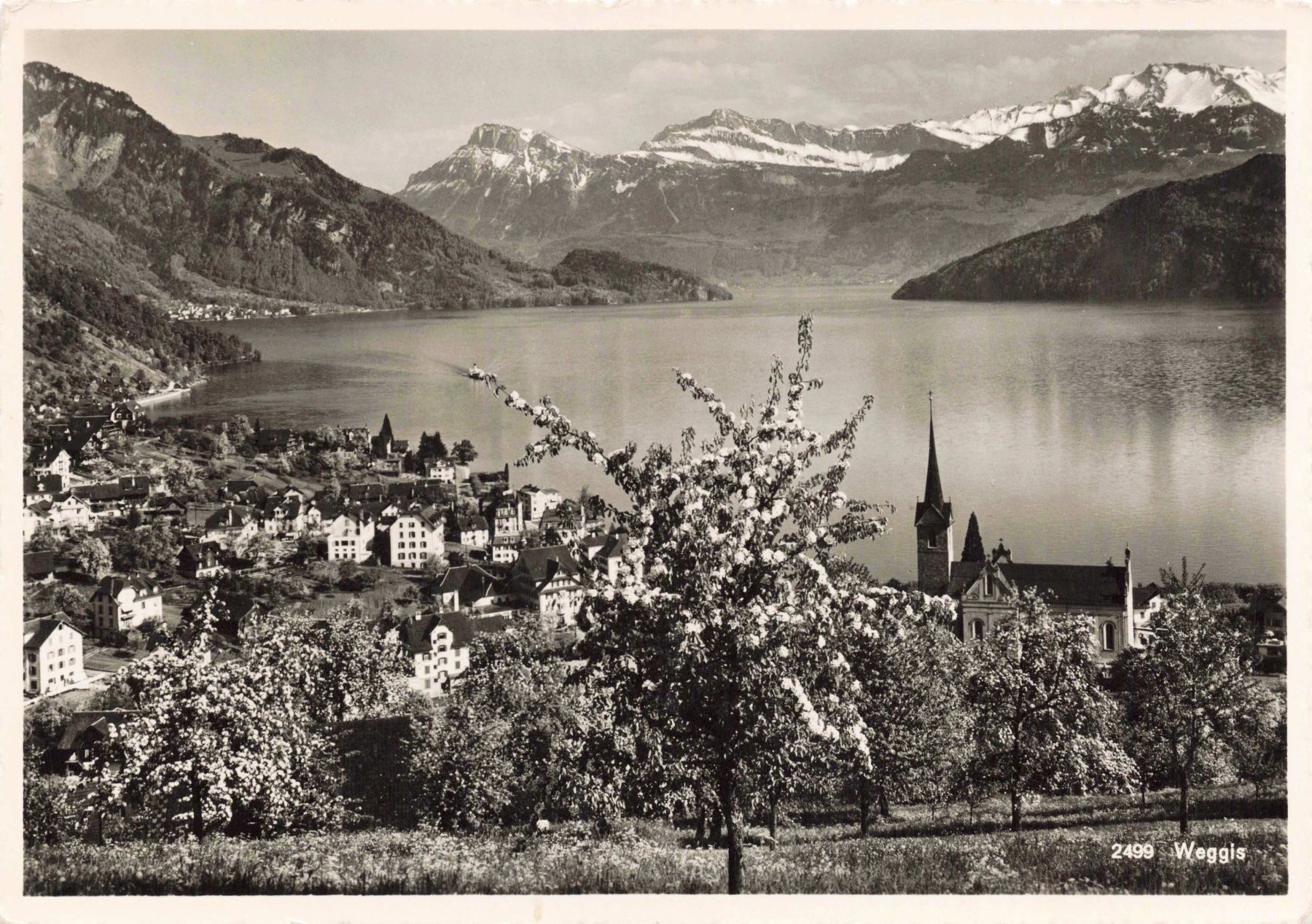 Cartes postales: Weggis G – D'occasion à Biasca par Blenio71