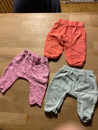 3er Hosen Set Gr. 74 (203)