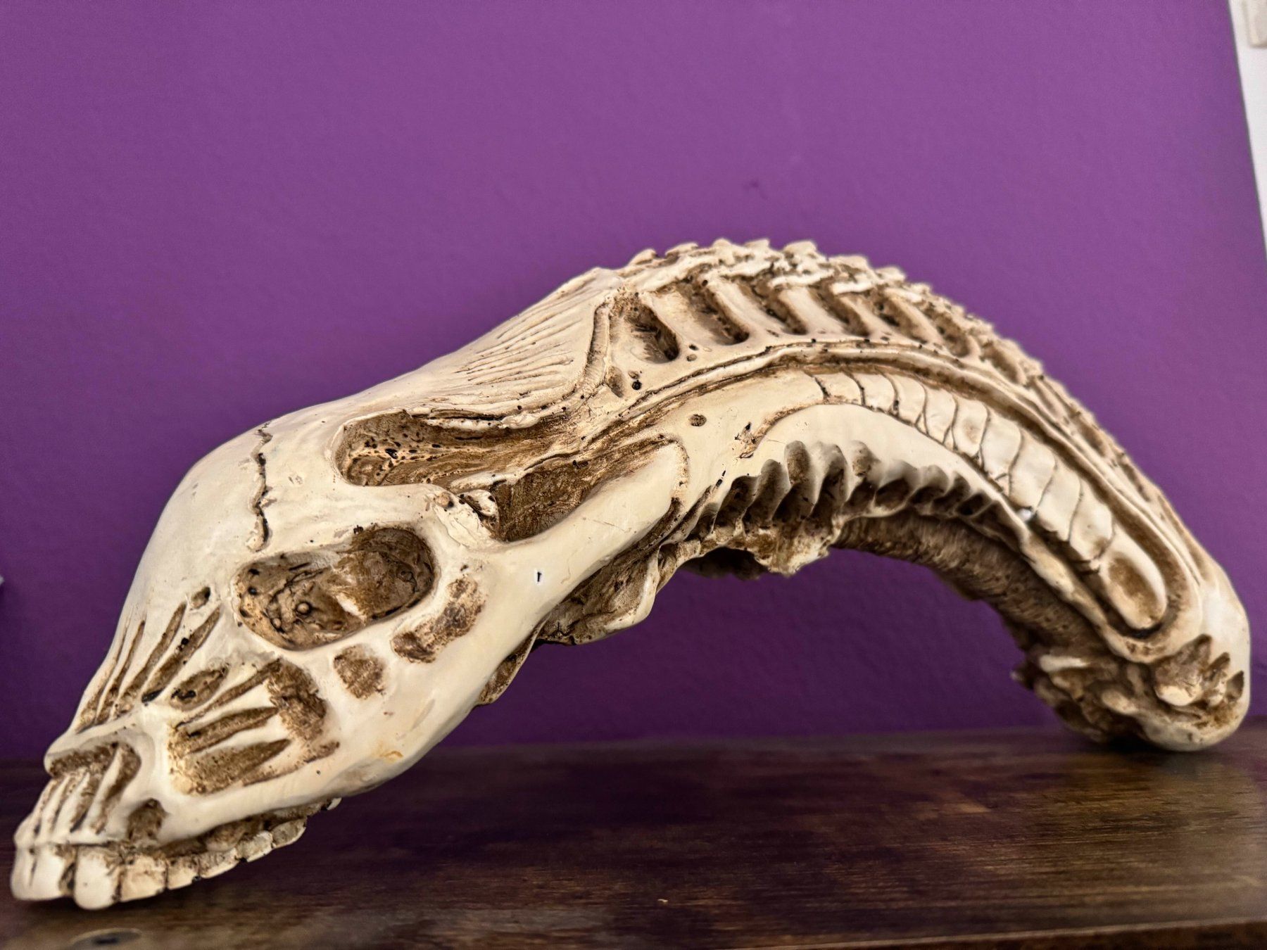 Figuren: Alien Skull – Gebraucht aus Möriken AG von Micron13