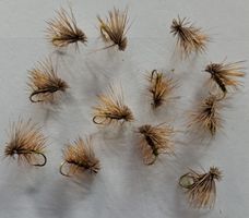 12 Elk Hair Caddis Olive h 14