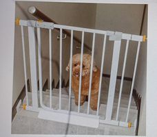 Barrière de sécurité pour enfant ou animaux