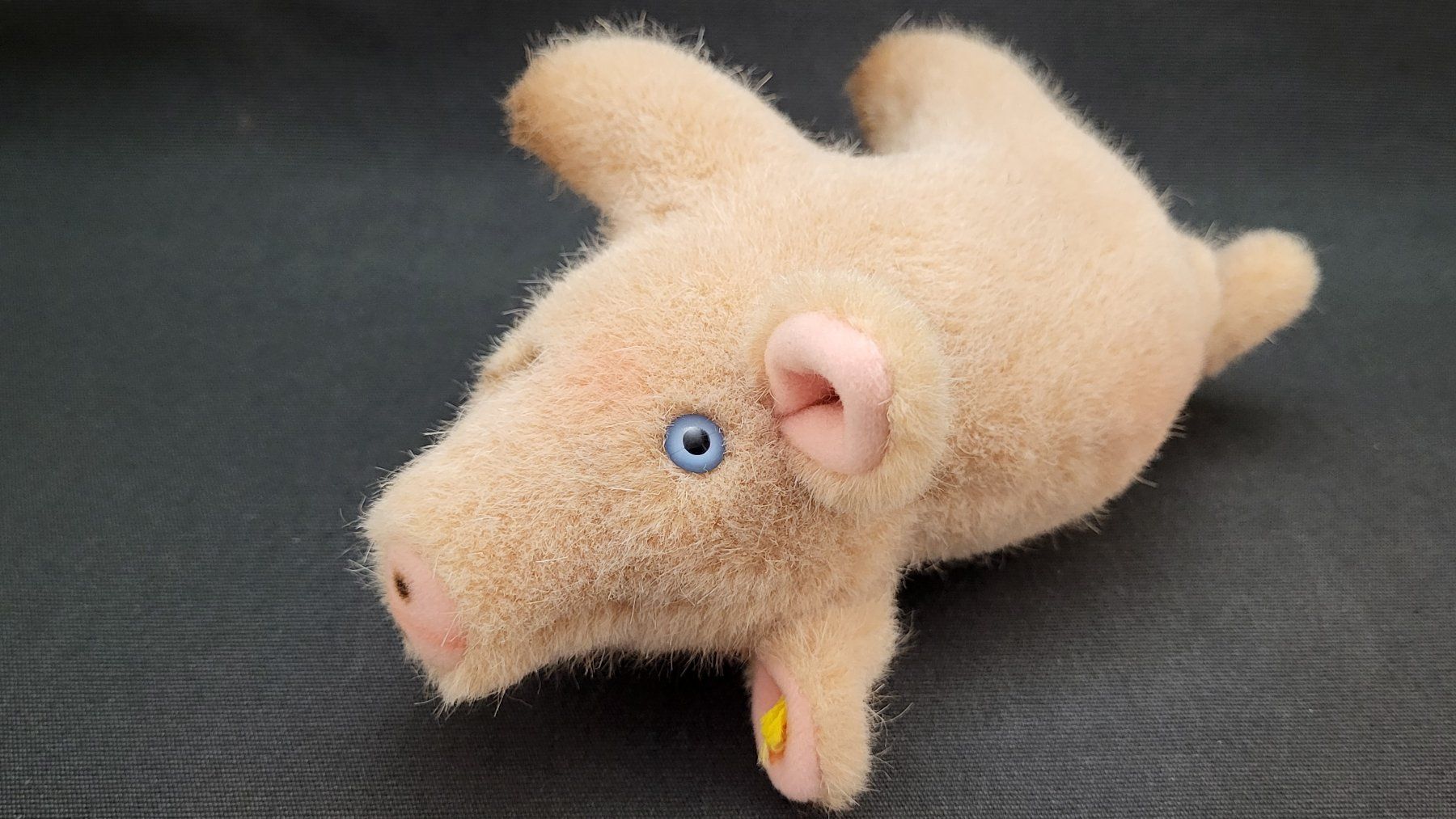 Steiff Giocattoli: STEIFF Schweinchen – Usato da Basel venduto da spinne02 7