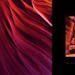 Bücher: Peter Lik 25 Years Anniversary Book - NEU – Neu und originalverpackt aus Zollikerberg von Sell-Buy-it 1