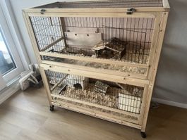 Kleintierkafig inkl 2 Meerschweinchen, 10 Monate alt,