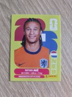 Panini Sticker NED7