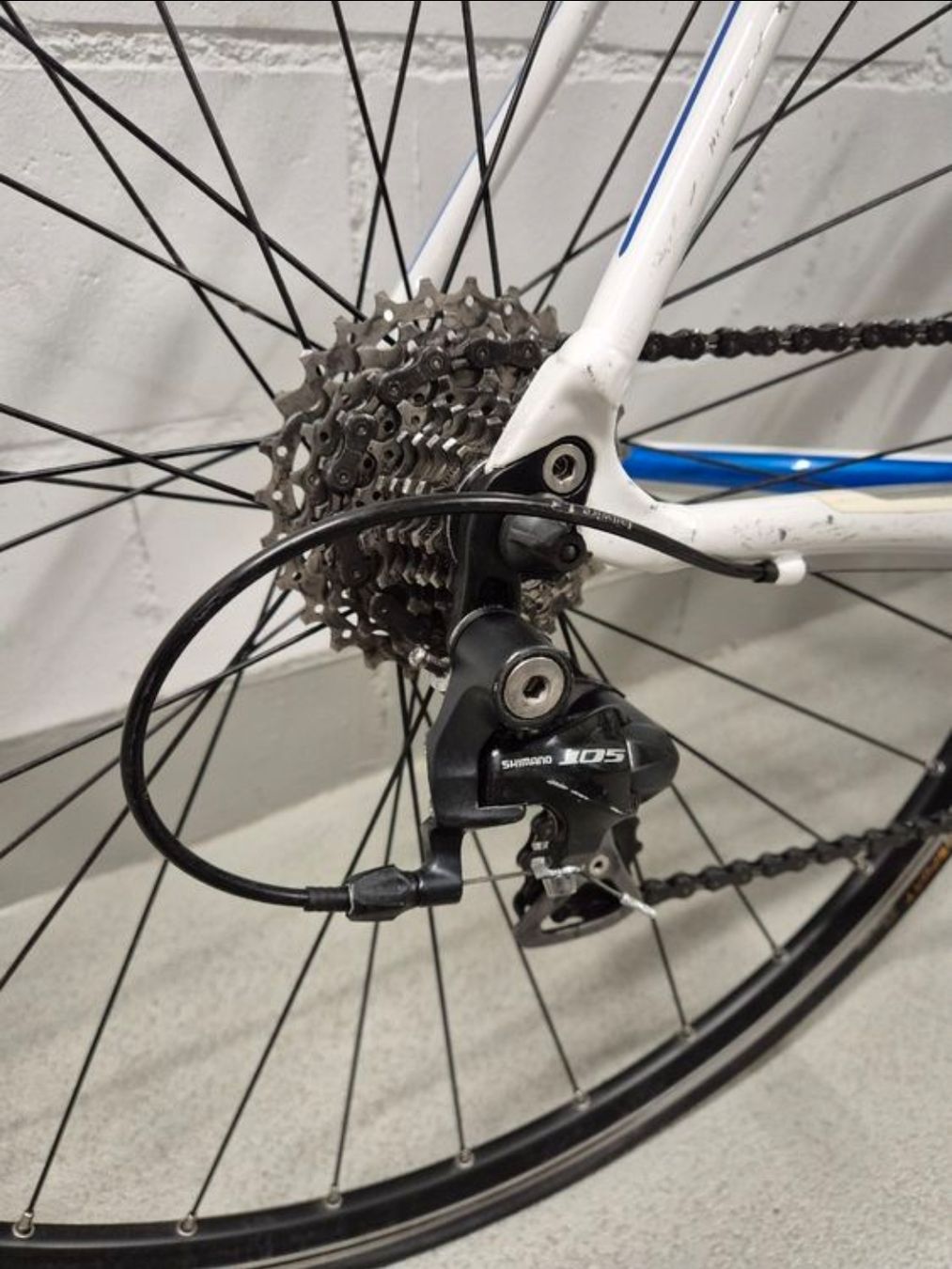 Specialized Biciclette: Velo specialized Rennrad – Usato da Bern venduto da vla_hbl9 2