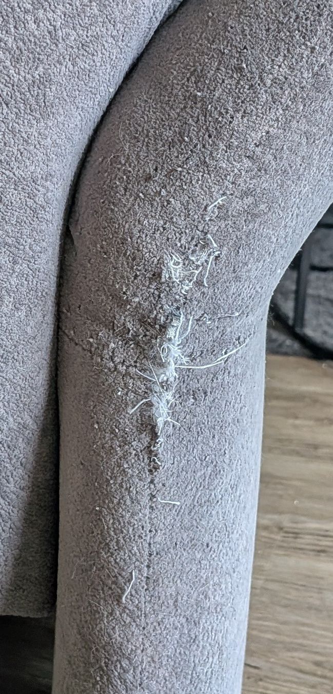 Divani: Sofa-set Grau – Usato da Wald ZH venduto da lej_c7rk 4