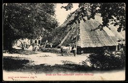 AK Oftringen /Aargau, Bad Lauterbach, Bauernhof