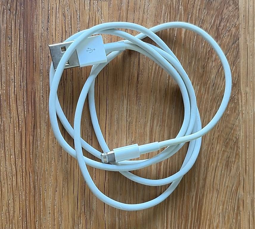 Cavi: Câble de charge Apple USB-Lightning – Usato da Genève venduto da LuCmno