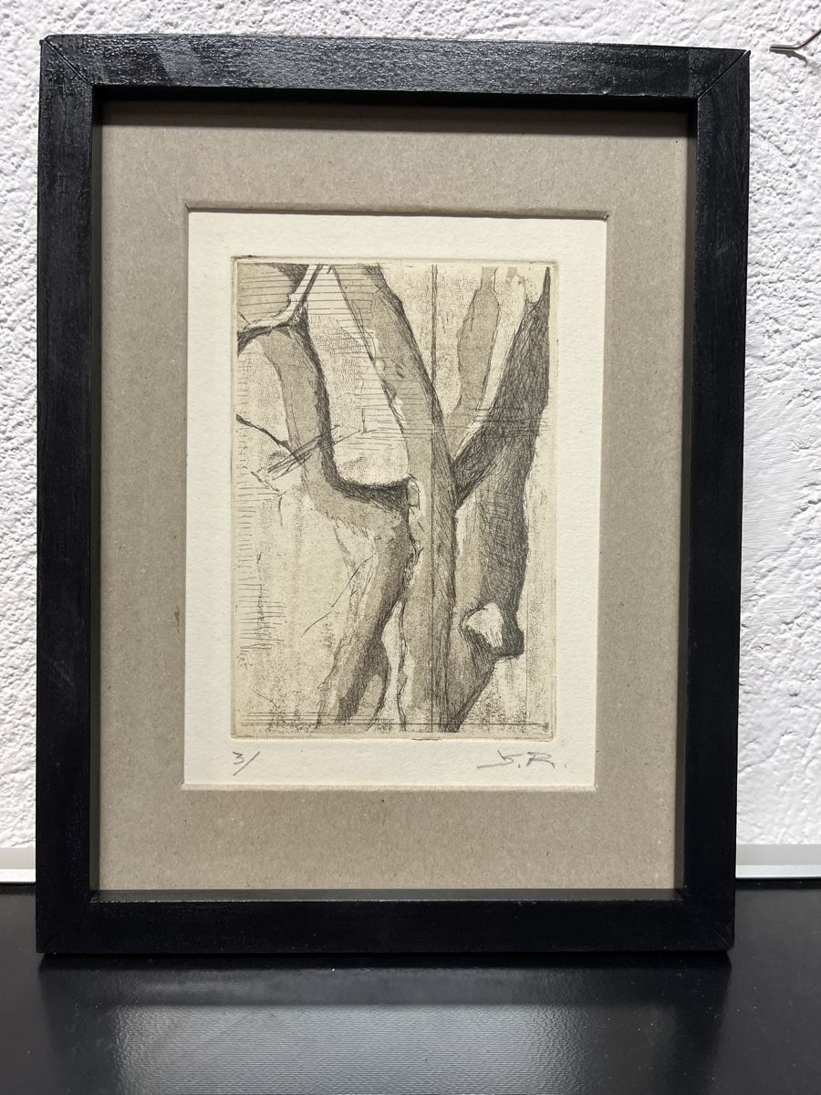 Stiche: Gravure originale signée, encadrée, – Gebraucht aus Lausanne von joltei